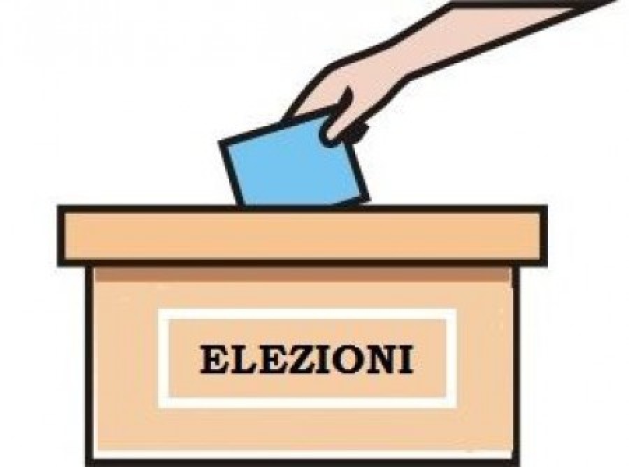 elezioni immagine